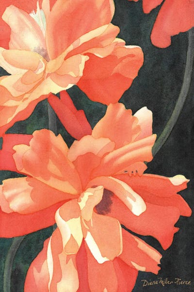 Spring Fiesta by Diana Miller-Pierce art print