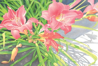 Staccato In Pink by Diana Miller-Pierce art print