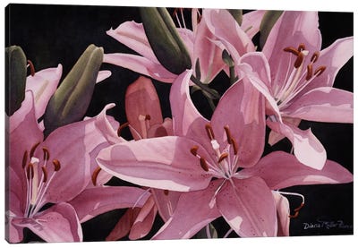 Surprise In Pink Canvas Art Print - Diana Miller-Pierce