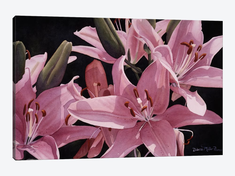 Surprise In Pink by Diana Miller-Pierce 1-piece Canvas Art Print