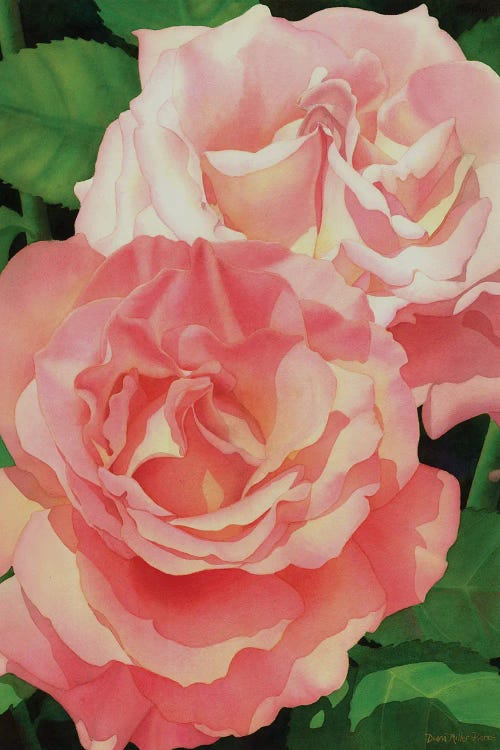 The Heart Of A Rose by Diana Miller-Pierce wall art