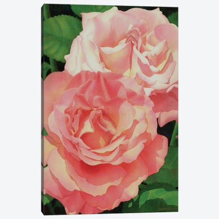 The Heart Of A Rose Canvas Print #DMP99} by Diana Miller-Pierce Art Print