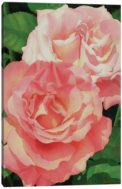The Heart Of A Rose Canvas Art Print - Diana Miller-Pierce