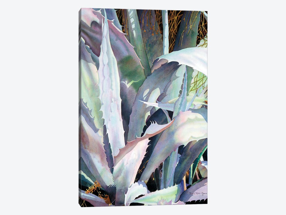 Agave II by Diana Miller-Pierce 1-piece Canvas Print
