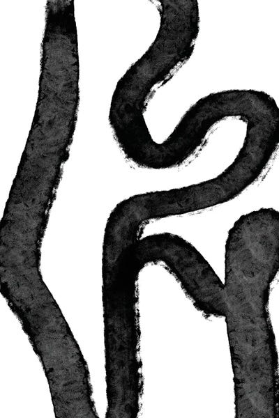 Black & White Minimalist Décor: Mother-In-Law's Tongue by Domonique Brown