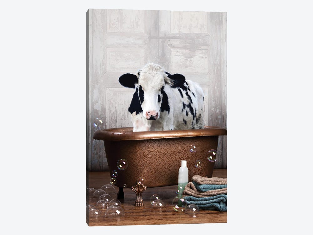 Cow In A Bathtub by Domonique Brown 1-piece Canvas Art Print