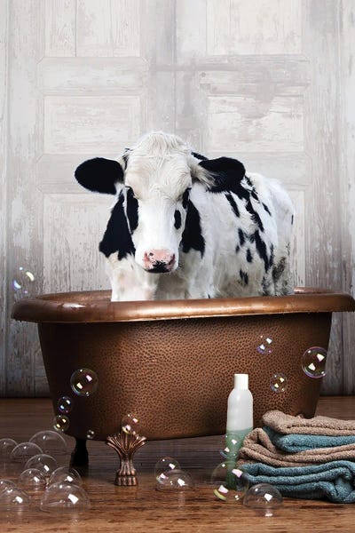Animal Humor: Cow In A Bathtub by Domonique Brown
