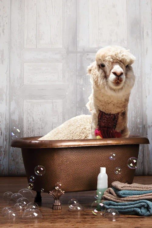 Llama In A Bathtub by Domonique Brown wall art