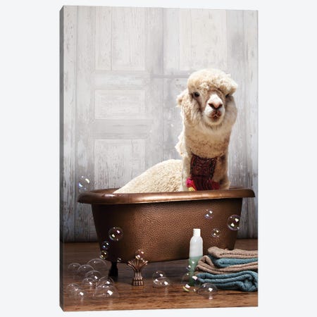 Llama In A Bathtub Canvas Print #DMQ183} by Domonique Brown Canvas Art Print