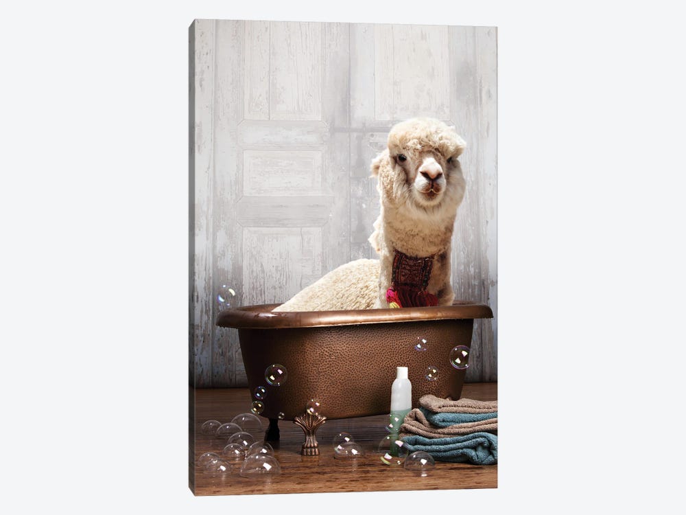 Llama In A Bathtub by Domonique Brown 1-piece Canvas Art