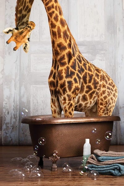 Giraffes: Giraffe In The Tub by Domonique Brown