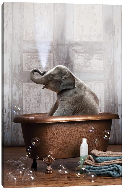 Elephant In The Tub Canvas Art Print - Best Selling Animal Art