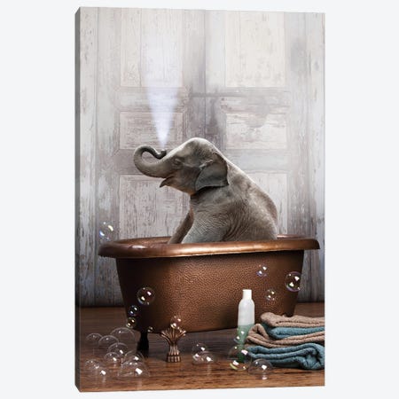 Elephant In The Tub Canvas Print #DMQ28} by Domonique Brown Canvas Art Print