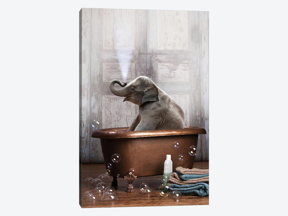 Elephant In The Tub 1-piece Canvas Artwork
