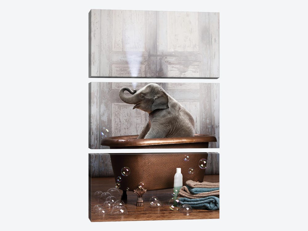Elephant In The Tub by Domonique Brown 3-piece Canvas Art