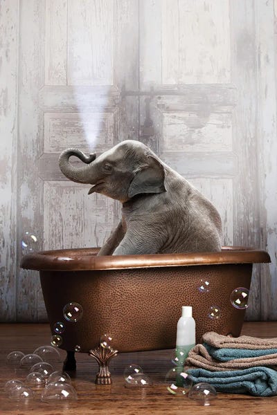 Big Prints & Large Wall Art - Canvas Prints: Elephant In The Tub by Domonique Brown