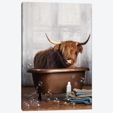 Highland Cow In The Tub Canvas Print #DMQ30} by Domonique Brown Canvas Artwork