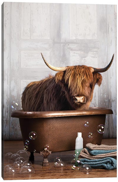 Highland Cow In The Tub Canvas Art Print - Mixed Media Art