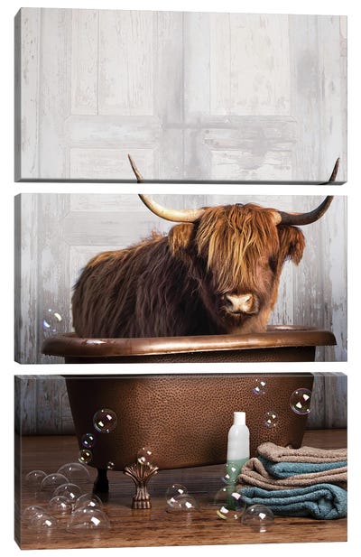 Highland Cow In The Tub Canvas Art Print - 3-Piece Animal Art