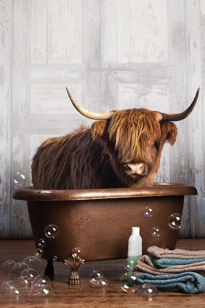 Highland Cow In The Tub Canvas Wall Art by Domonique Brown iCanvas
