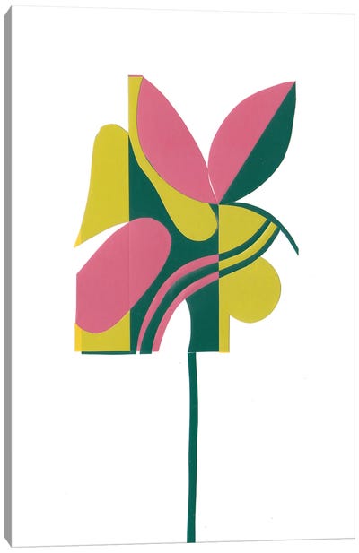 Flowers II Canvas Art Print - Deja Mar
