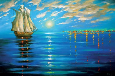 Magical Night by Dmitry Spiros framed canvas print