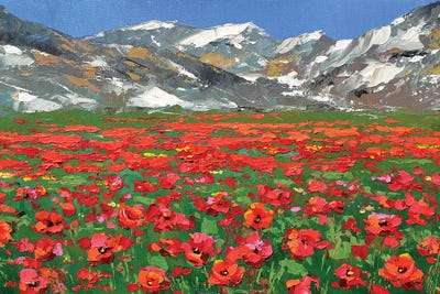 Mountain Poppies by Dmitry Spiros framed canvas print