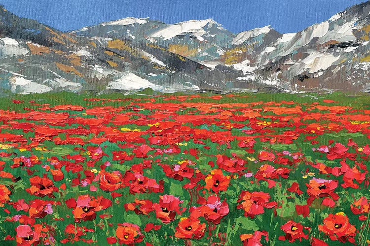 Mountain Poppies