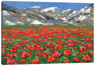 Mountain Poppies Canvas Art Print - Dmitry Spiros