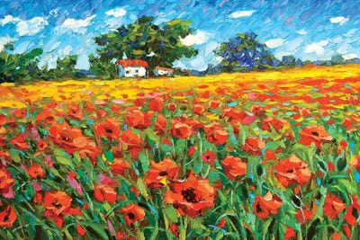 Poppies Afternoon by Dmitry Spiros canvas print