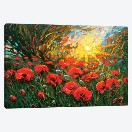 Poppies At Sunset Canvas Print #DMT142} by Dmitry Spiros Art Print