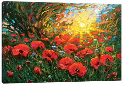 Poppies At Sunset Canvas Art Print - Dmitry Spiros