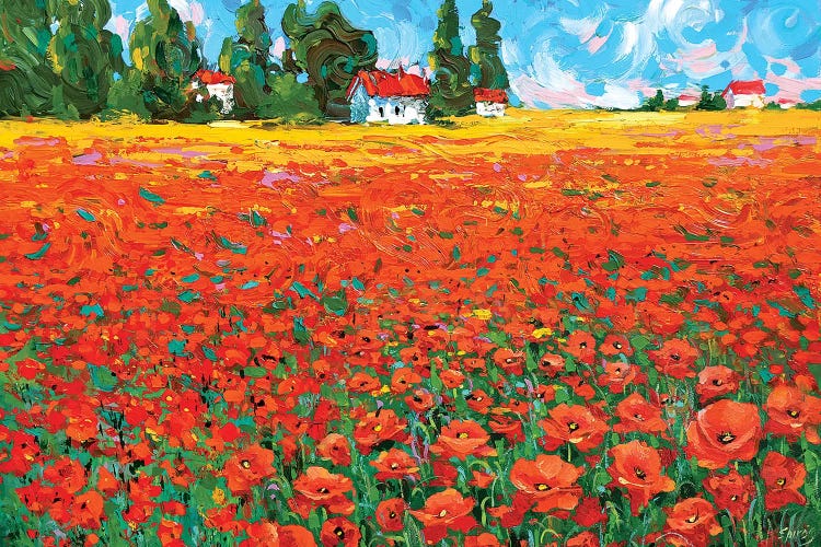 Poppy Field