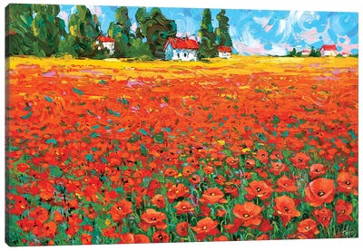 Poppy Field Canvas Art Print - Dmitry Spiros