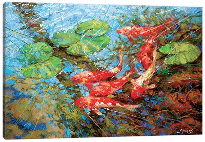 Red Fish Canvas Art Print - Pond Art
