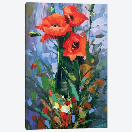 Three Poppies Canvas Print #DMT174} by Dmitry Spiros Canvas Art Print