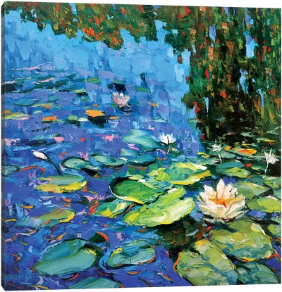 Blooming Water Lilies Canvas Art Print - Water Lilies Collection