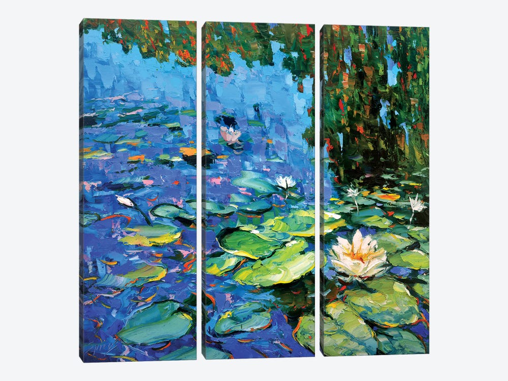 Blooming Water Lilies by Dmitry Spiros 3-piece Canvas Art Print