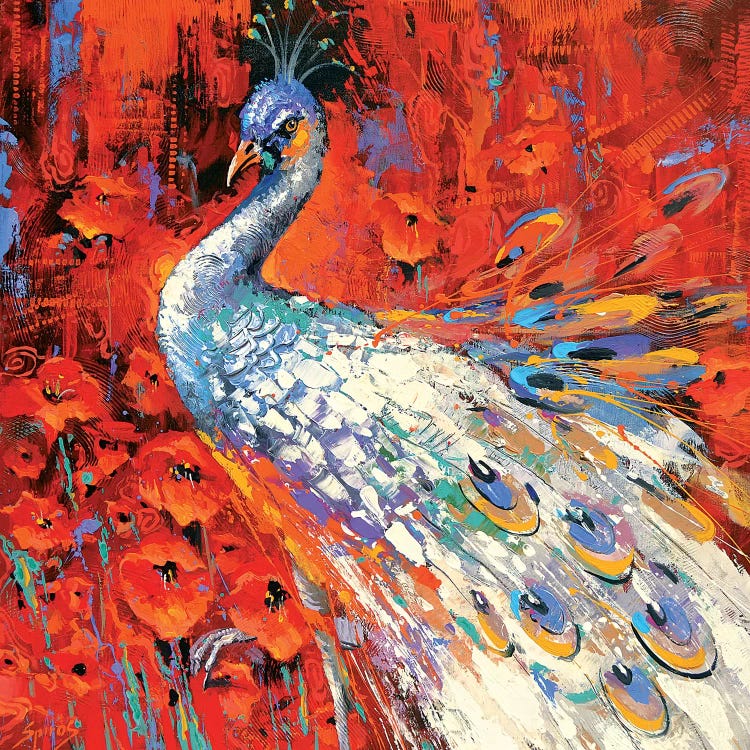 White Peacock And Poppies by Dmitry Spiros wall art