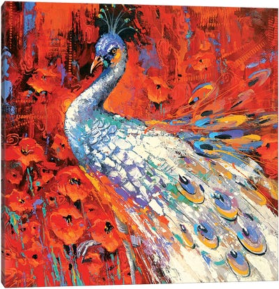 White Peacock And Poppies Canvas Art Print - Dmitry Spiros