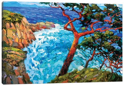 Windy Bay Canvas Art Print - Dmitry Spiros