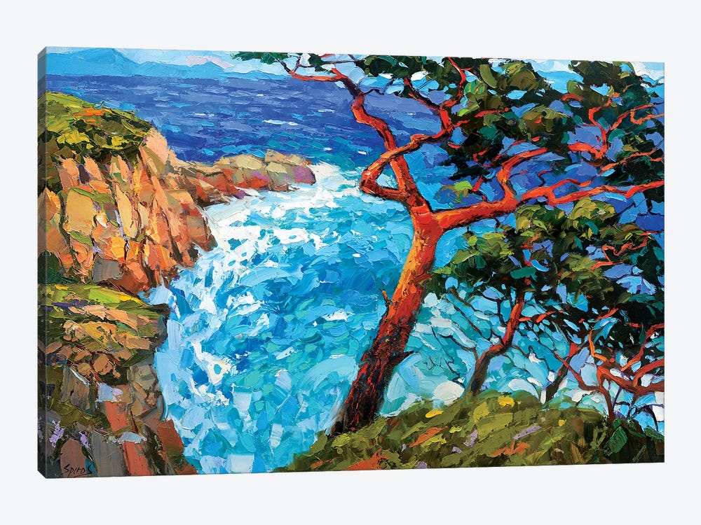 Windy Bay by Dmitry Spiros 1-piece Canvas Print