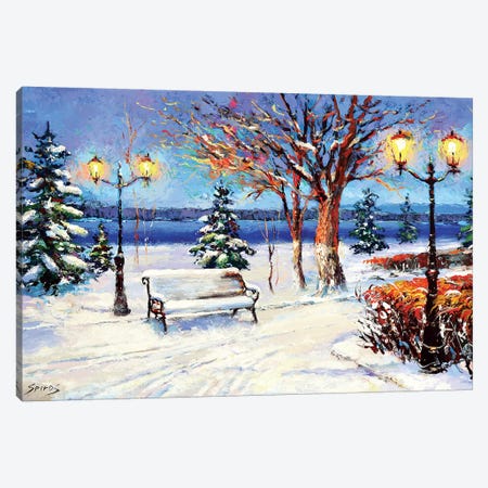 Winter Landscape Canvas Print #DMT200} by Dmitry Spiros Canvas Art