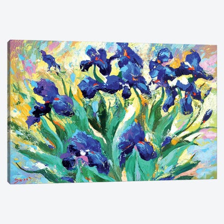 Blue Irises I Canvas Print #DMT22} by Dmitry Spiros Canvas Art