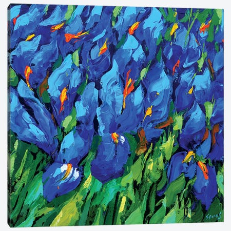 Blue Irises II Canvas Print #DMT23} by Dmitry Spiros Canvas Art