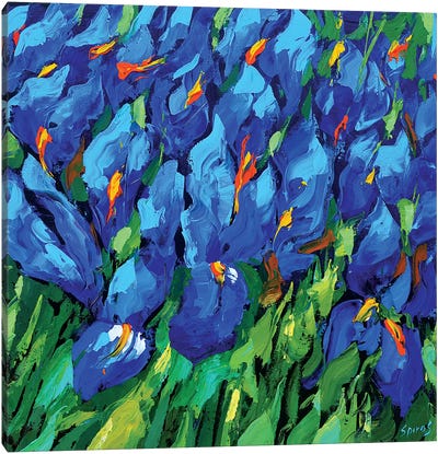 Blue Irises II Canvas Art Print - Artists Like Van Gogh