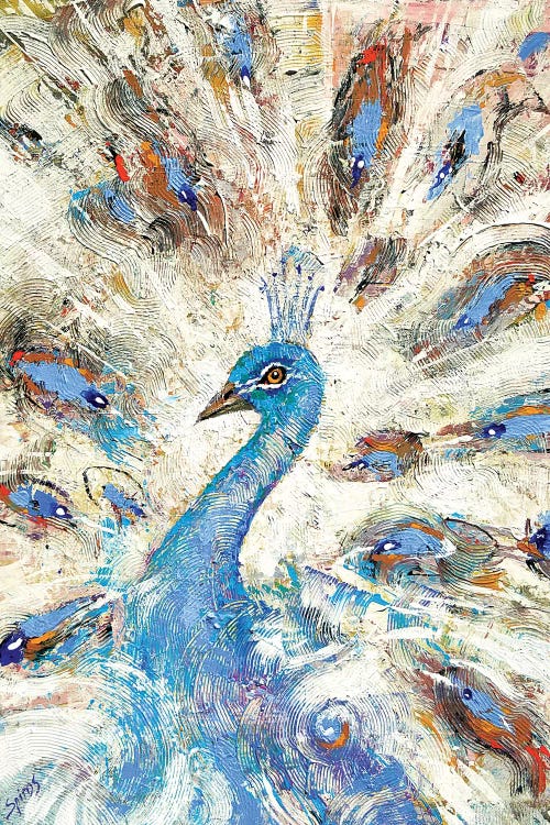 Blue Peacock