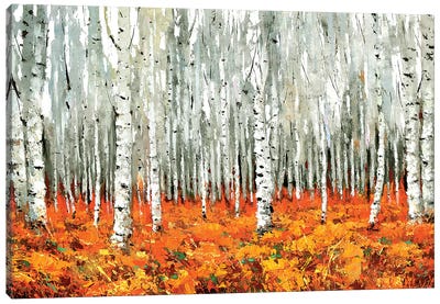 Bosque Canadiense Canvas Art Print - Dmitry Spiros