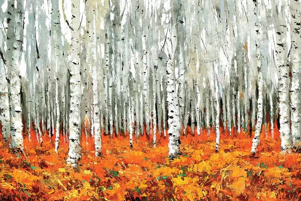 Birch Trees: Bosque Canadiense by Dmitry Spiros
