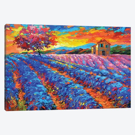 Evening In Provence Canvas Print #DMT60} by Dmitry Spiros Canvas Wall Art